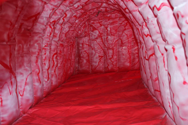 Detail of the inflatable exhibit interior surface