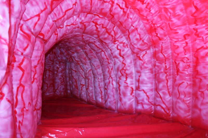 Interior of a walk-through inflatable digestive tract exhibit, showing textured intestinal walls
